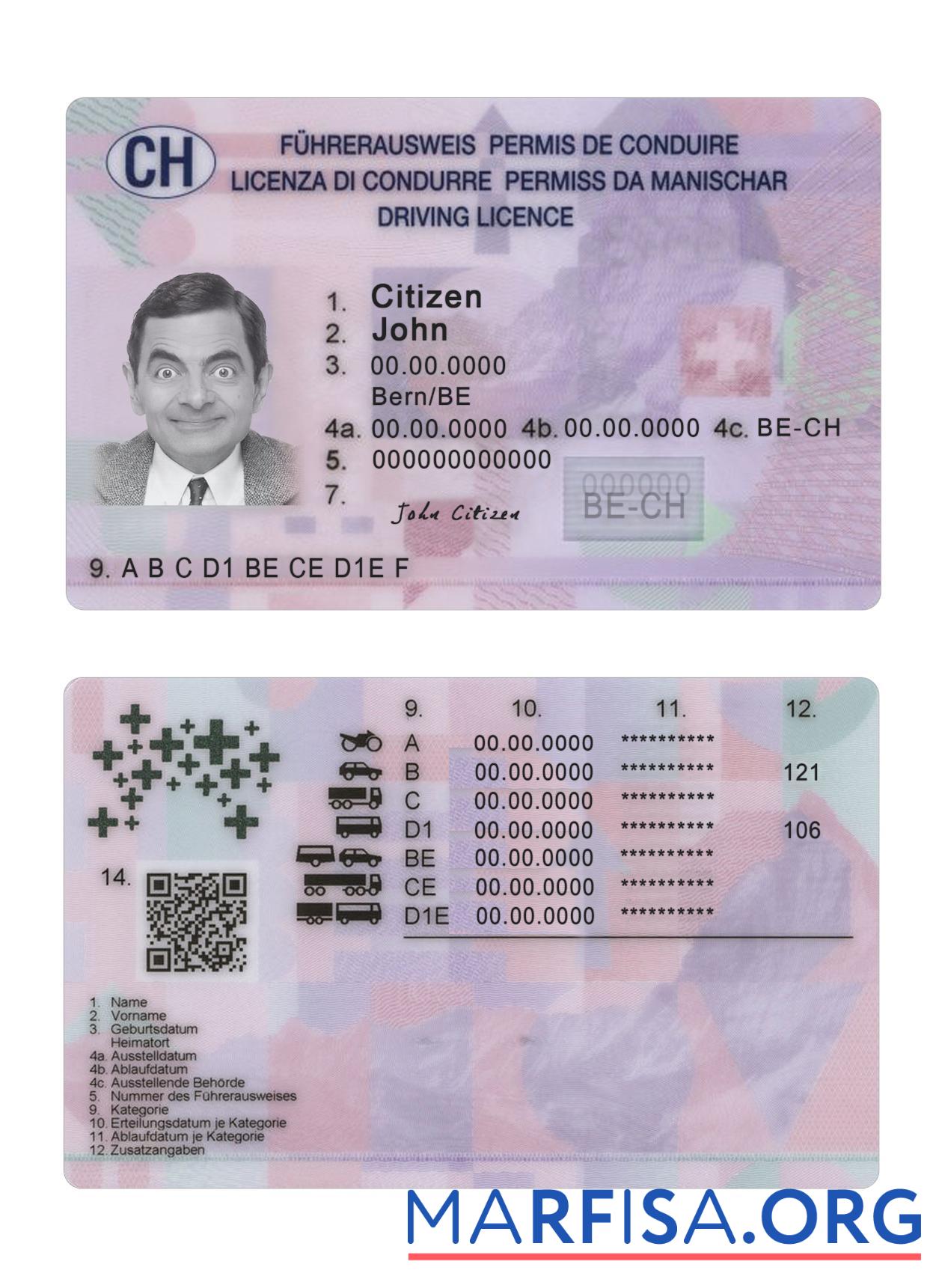 Blank Switzerland driving license 2023 present example